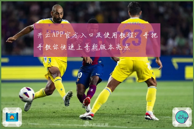 开云APP官方入口及使用教程：手把手教你快速上手新版本亮点