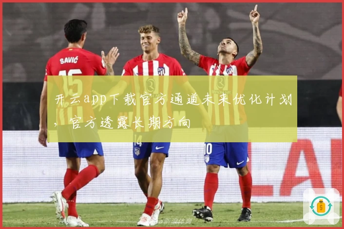 开云app下载官方通道未来优化计划，官方透露长期方向