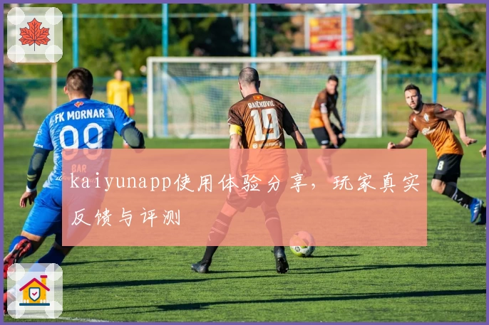 kaiyunapp使用体验分享，玩家真实反馈与评测